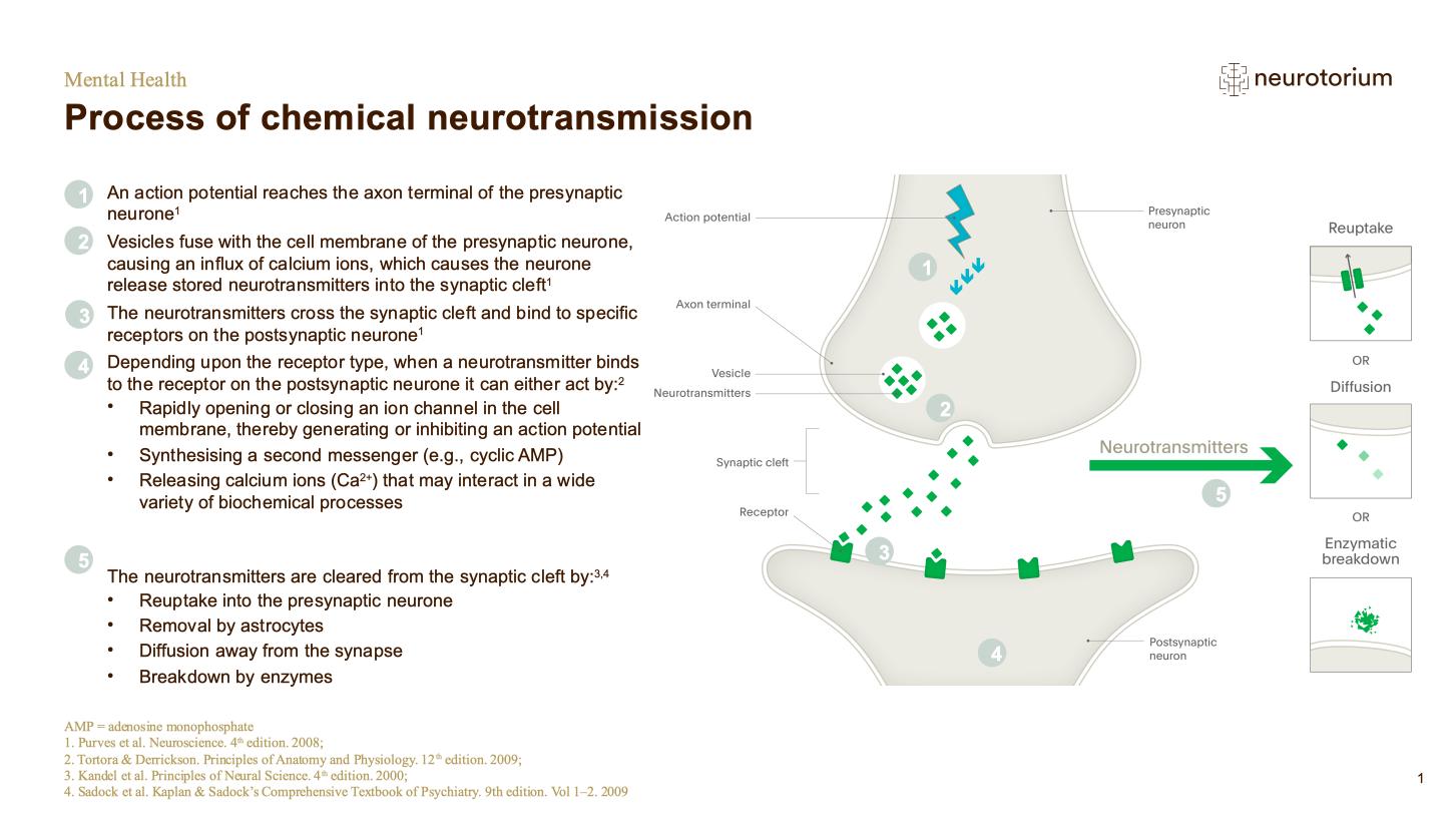 Mental Health – Fundamentals of Neurobiology – slide 11